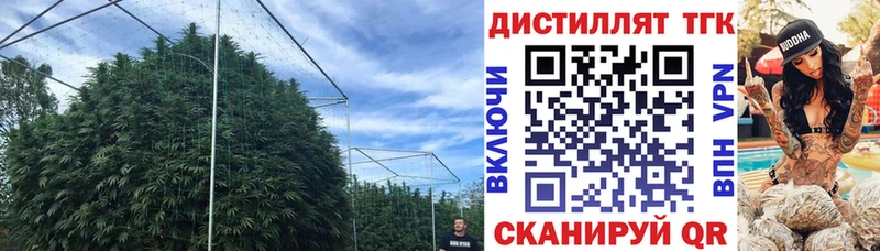как найти закладки  Алдан  ТГК Wax 