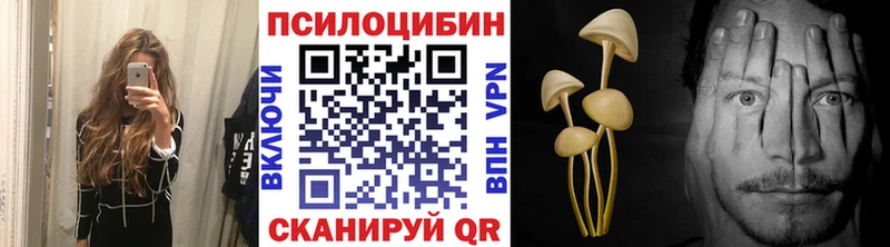 Псилоцибиновые грибы Cubensis  KRAKEN   Алдан 